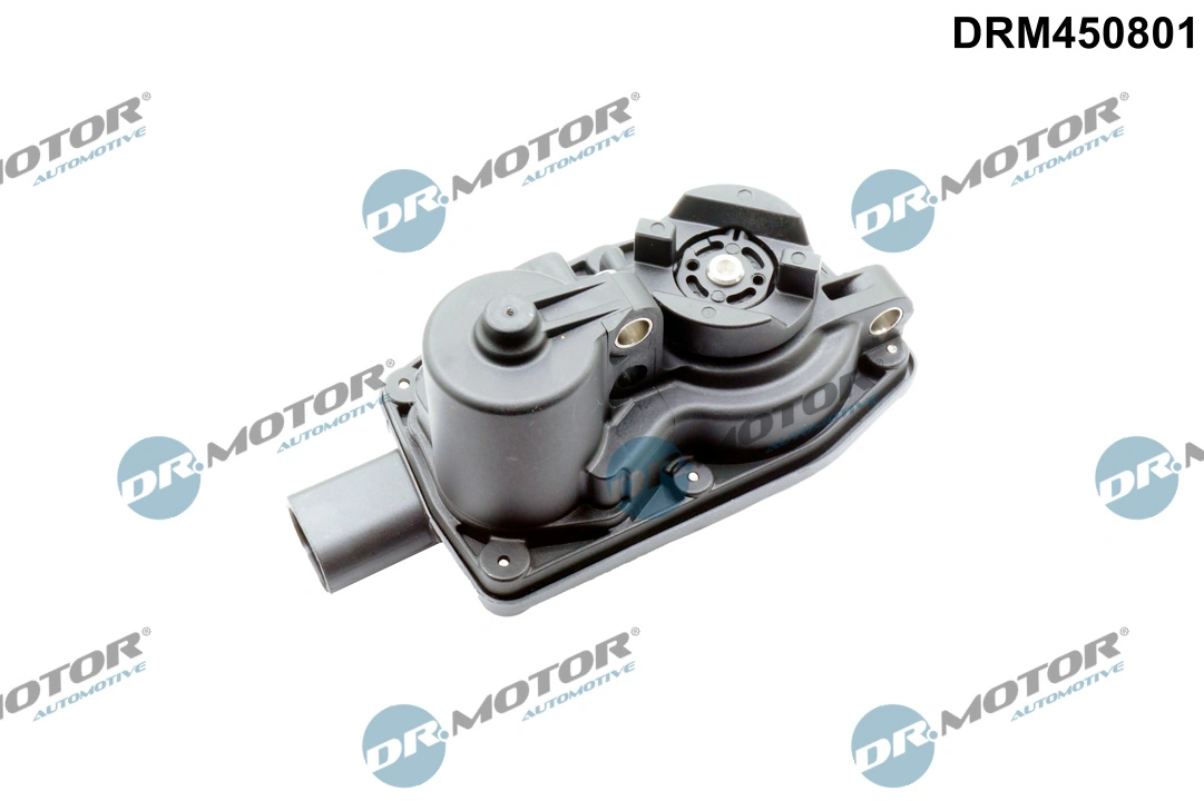 Control, swirl flaps (induction pipe)